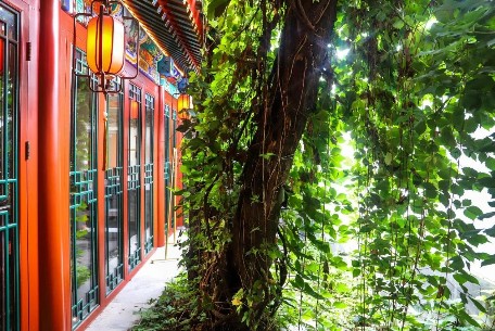 與旅游產(chǎn)業(yè)的結(jié)合能否促進四合院的保護和傳承