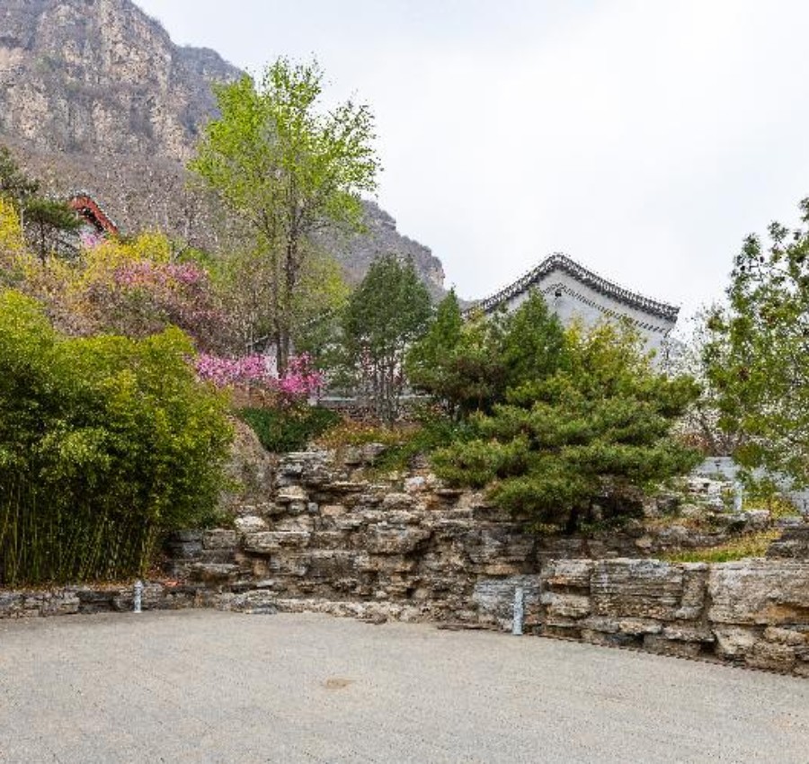 庭院
