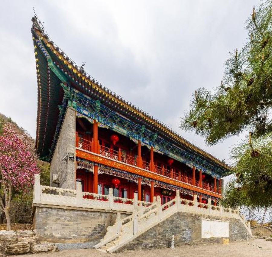 庭院