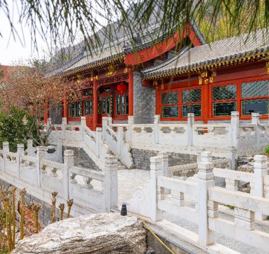 庭院