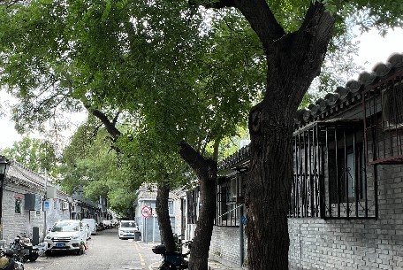 150歲東莞會館重現(xiàn)“原汁原味”
