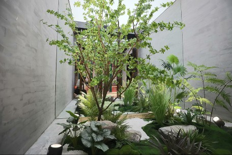 東城區(qū)新增4處 “互聯(lián)網(wǎng)+全民義務(wù)植樹(shù)”基地